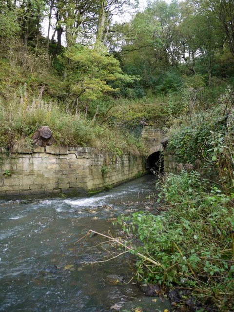Causey Burn Culvert