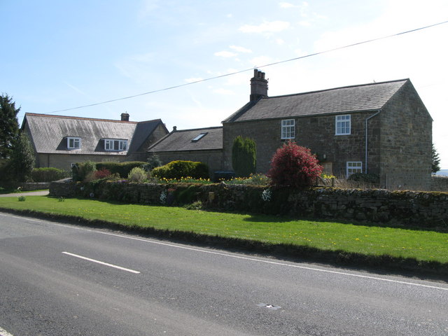 Halton Shields