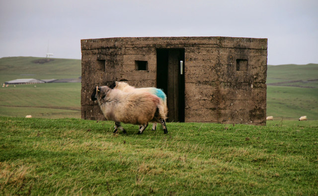 Pillbox, Ryal