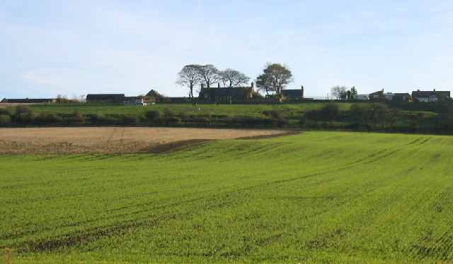 Offerton