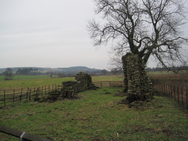 St Leonard's Hospital (ruins), Denwick