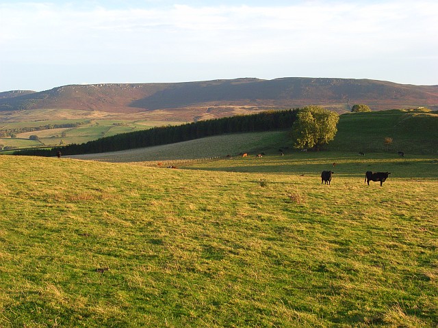 Wreighill