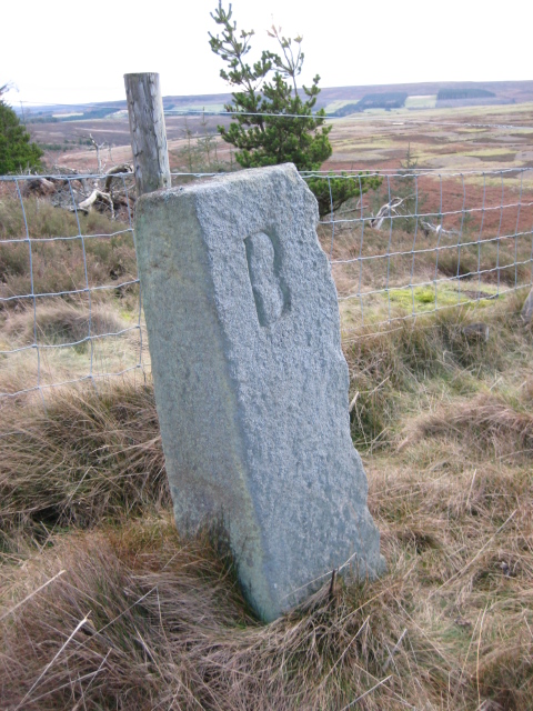Old Boundary Marker, Coalpits Fell, Slaley