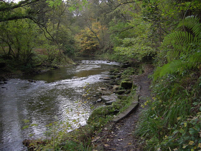 River Blyth