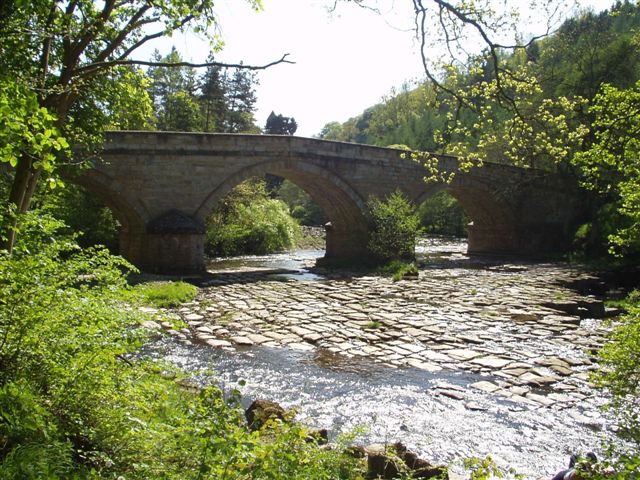 River Allen