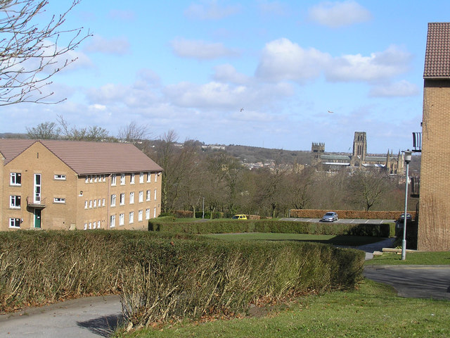 Grey College