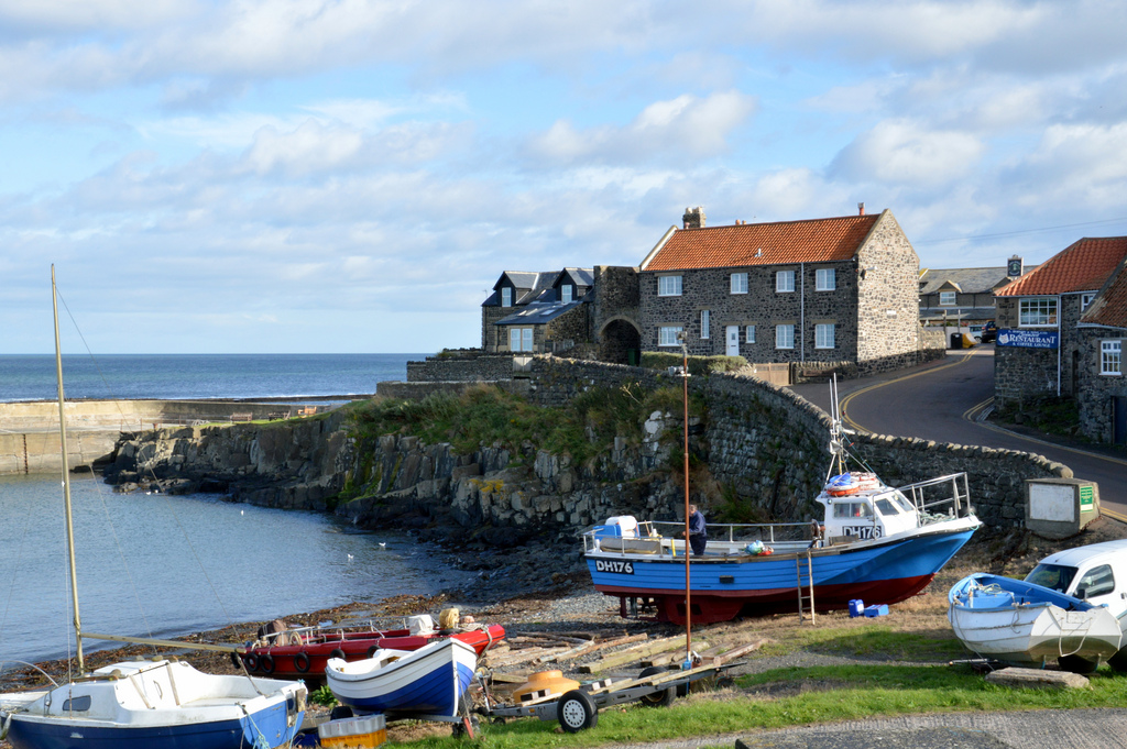 Craster