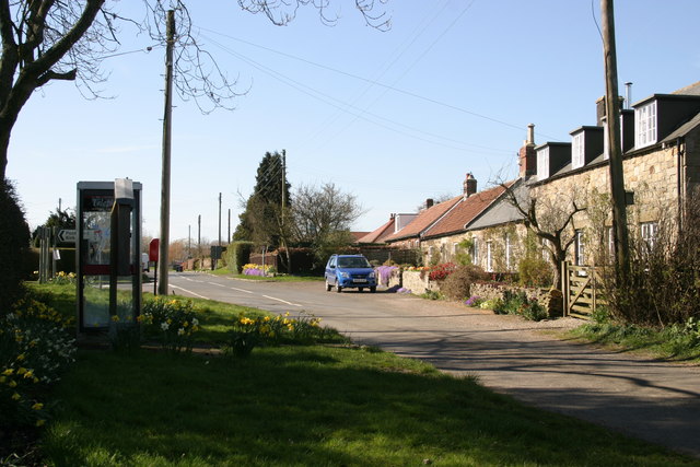Ogle