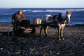 Sea Coaler at Lynemouth