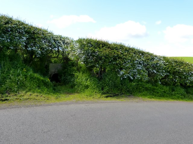 Marmion's Well