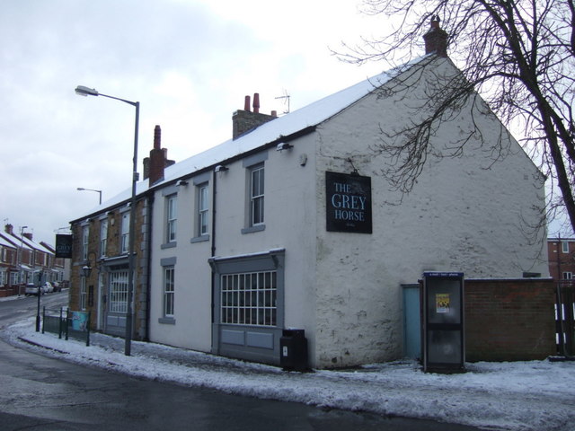 The Grey Horse