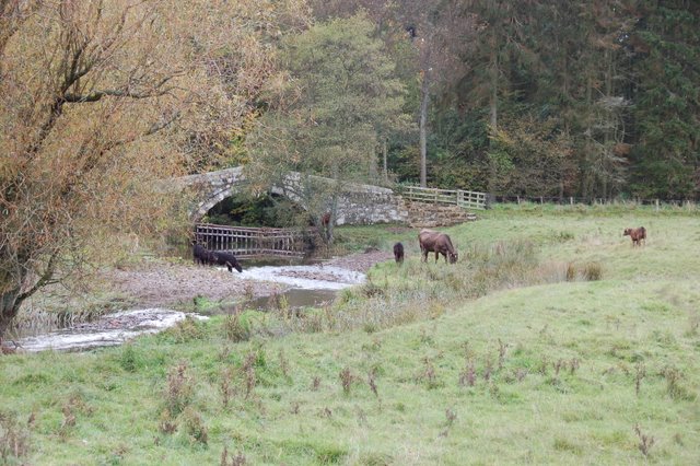 Lady's Bridge, Eslington Park