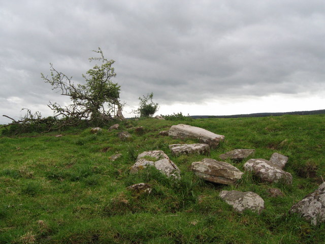 Fenham Monastic Grange (ruins)