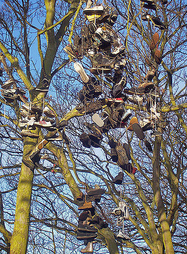 Shoe Tree, Armstong Park