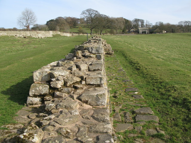 Planetrees Roman Wall