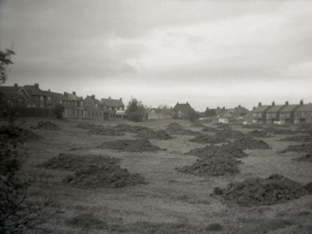 Blackies Valley / Little Dene